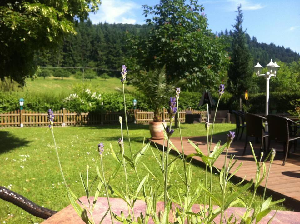 Landgasthof Hirsch บาเดน-บาเดน ภายนอก รูปภาพ